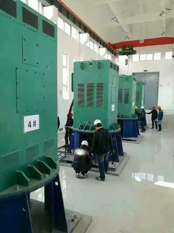 YKK5602-2GJ某污水处理厂使用我厂的立式高压电机安装现场